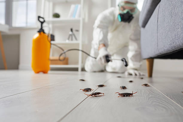 Commercial Rodent Management in La Puebla